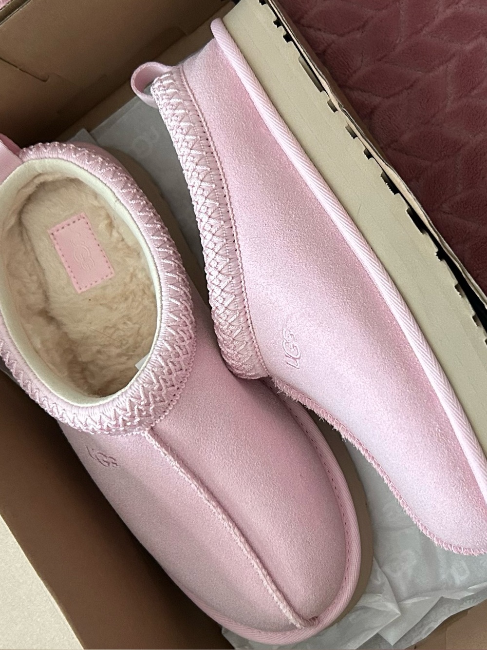 Pink Tazz Uggs